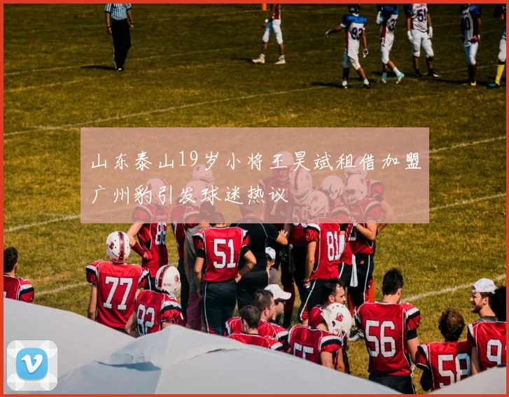 山东泰山19岁小将王昊斌租借加盟广州豹引发球迷热议