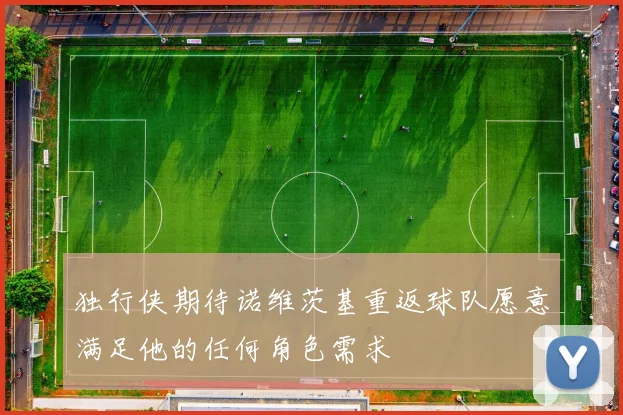 独行侠期待诺维茨基重返球队愿意满足他的任何角色需求