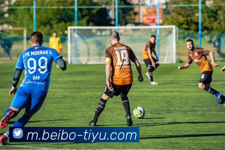 贝博体育发展历程