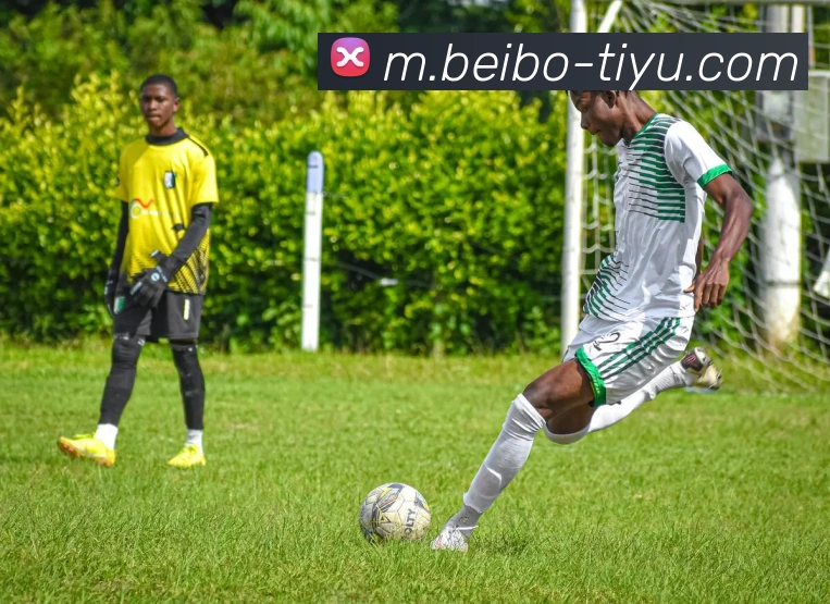 姆巴佩晒阿什拉夫球衣照片引发球迷热议好兄弟情深厚